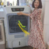 Quạt điều hòa làm mát không khí OZUNO -12000TC